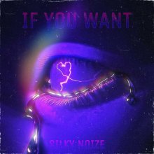 Silky Noize - If You Want (2023) [FLAC]