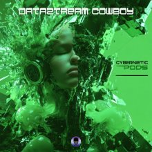 Dataztream Cowboy - Cybernetic Pods (2026) [FLAC]