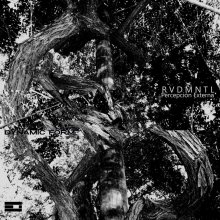 Rvdmntl - Percepcion Externa (2026) [FLAC] download
