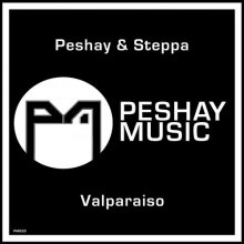 Peshay & Steppa - Valparaiso (2020) [FLAC]