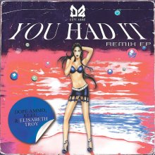 Dope Ammo, Kleu, Elisabeth Troy - You Had It Remix EP (2026) [FLAC]
