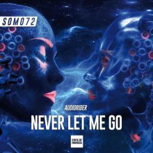 Audiorider - Never Let Me Go (2022) [FLAC]