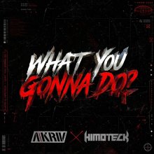 A-Kriv, Himoteck - What You Gonna Do (2026) [FLAC]