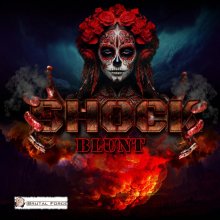 Shock (Nl - Blunt (2026) [FLAC]