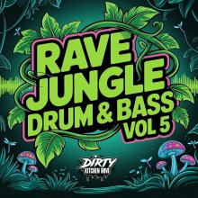 VA - Rave Jungle Drum & Bass Vol 5 (2026) [FLAC]