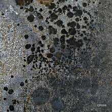 Brok - CR006 (2026) [FLAC]