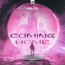 Valido - Coming Home (Edit) (2023) [FLAC]