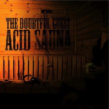 The Doubtful Guest - Acid Sauna (2008) [FLAC]