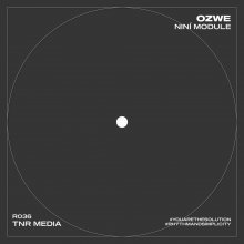 Ozwe - Nini Module (2026) [FLAC]