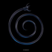 Forbidden Society - Alternate Routes (2026) [FLAC]