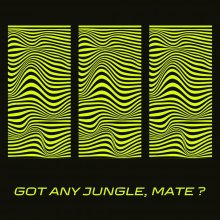 Thing - Got Any Jungle, Mate? (2022) [FLAC]