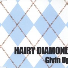 Hairy Diamond - Givin Up (2000) [FLAC]