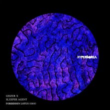Geizer, Sleeper Agent - Forbidden Lotus (2026) [FLAC]