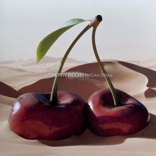 Coco Bryce - A Cherry Riddim (2022) [FLAC]