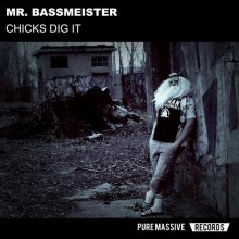 Mr. Bassmeister - Chicks Dig It (2026) [FLAC]