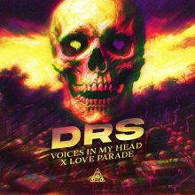 Drs - Voices In My Head X Love Parade (Edit) (2026) [FLAC]