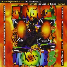 VA - Jungle Massive 3 (1995) [FLAC]