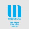 DNS Project - Clear Shine (2009) [FLAC]
