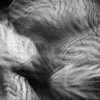 Lemna - Nodes (2023) [FLAC]