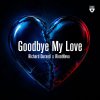 Richard Durand, Rinatnevo - Goodbye My Love (2026) [FLAC]