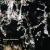 Sciahri - Stranger Infatuation (2024) [FLAC]