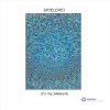 Spielerei - It's My Pleasure (2026) [FLAC]