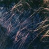 Zake, Rhubiqs - Hild (2026) [FLAC]