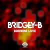 Bridgey-B - Burning Love (2024) [FLAC]