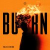 Yuuja, Serverox - Burn (Edit) (2026) [FLAC]