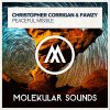 Christopher Corrigan, Fawzy - Peaceful Missile (2025) [FLAC]