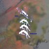 Hiraeth - Between States (2026) [FLAC]