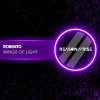 Robinito - Wings of Light (2026) [FLAC]