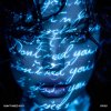 Phaze - Don't Need You (2026) [FLAC]