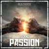 Luxho - Passion (Edit) (2024) [FLAC]