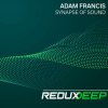 Adam Francis - Synapse of Sound (2025) [FLAC]