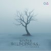 Dan Guidance - Winter Wilderness EP (2026) [FLAC]