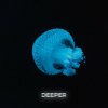 Dj Linky - Deeper (2024) [FLAC]
