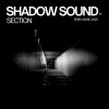 Section - Shadow Sound EP (2025) [FLAC]
