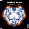 Critical Mass - Burnin Love (1996) [FLAC]