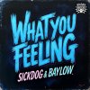 Sickdog, Baylow - What You Feeling (Edit) (2025) [FLAC]