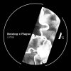 Notzing, Plague - Lithal (2026) [FLAC]