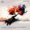 Command Strange, Intelligent Manners - In My Mind / When I Get Home (2025) [FLAC]