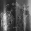 Blind Mic, Dogger, Metrodome, Drs, Dub Phizix, Mindstate - Polarity (2025) [FLAC]