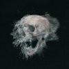 Spor - Skeletonise EP (2024) [FLAC]