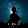 Soundstylez - Looking For (Edit) (2025) [FLAC]