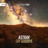 Astrak - Say Goodbye (Edit) (2022) [FLAC]