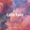 Noise Of Aggression, Mvrs - Little Love (2023) [FLAC]