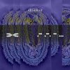 Falling Echoes - Tape Z (2025) [FLAC]