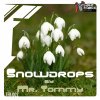 Mr. Tommy - Snowdrops (2015) [FLAC]