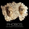 Marc Romboy and Stephan Bodzin - Phobos (2011) [FLAC] download